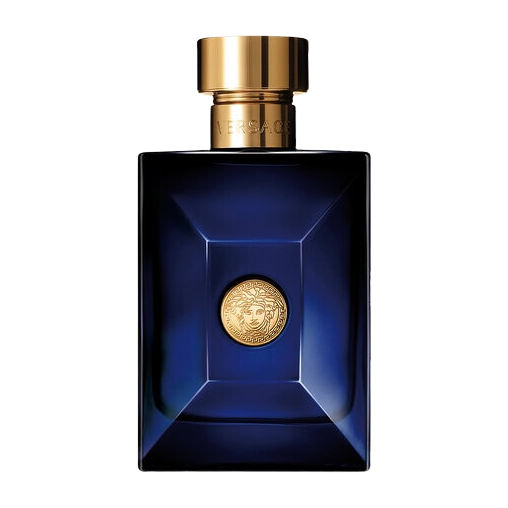 Versace Pour Homme Dylan Blue 100ml
