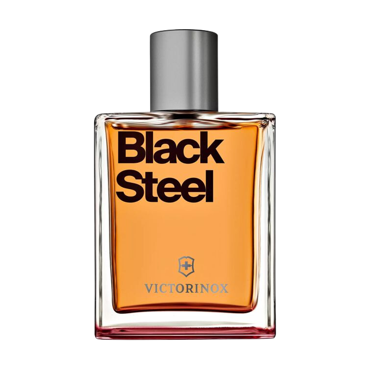 Victorinox Swiss Army Black Steel 100ml