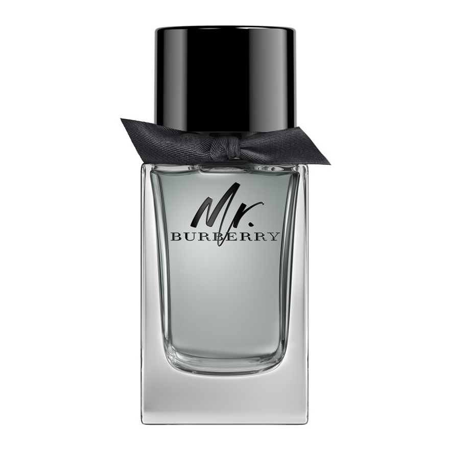 Burberry Mr. Burberry 100ml