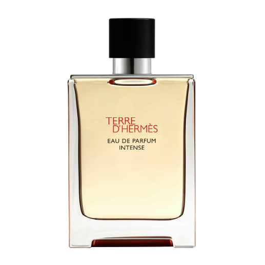 Hermès Terre D'Hermès Intense 100ml