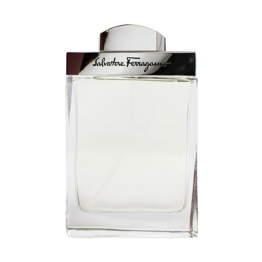 Salvatore Ferragamo Pour Homme 100ml