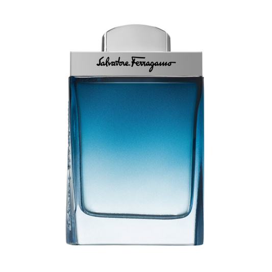 Salvatore Ferragamo Pour Homme Subtil 100ml