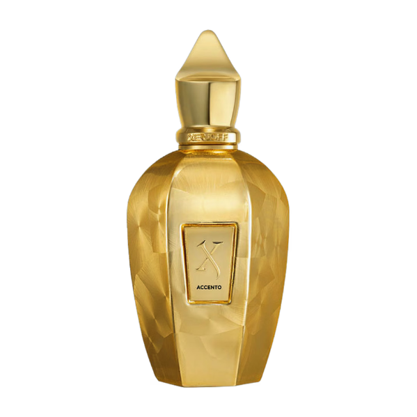 Xerjoff Accento Overdose 100ml